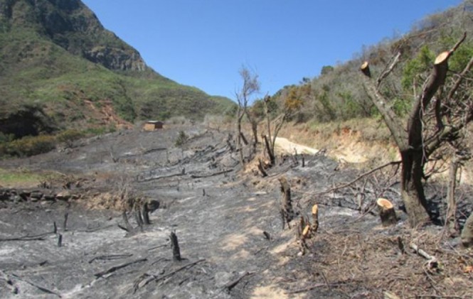 i_incendio-en-vallegrande-es-sofocado-por-bomberos-forestales_27207.jpg