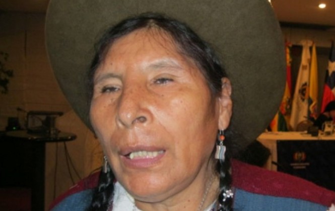 i_parlamentaria-peruana-pide-a-evo-que-dialogue-con-indigenas-del-tipnis_989.jpg
