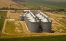 ANAPO se queja porque la ausencia de exportaci�n de soya colaps� silos de almacenamiento