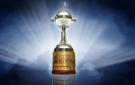 Copa Libertadores 2013