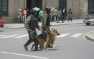 Polic�a levant� cerco de seguridad en la plaza Murillo 