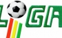 Resultados y Posiciones del Torneo Apertura