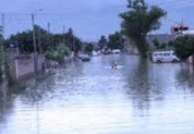Municipio de Sipe Sipe registra p�rdidas de 650 hect�rea de cultivos