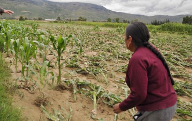 bruscos cambios climáticos afectana miles de familias en Cochabamba/ Foto archivo