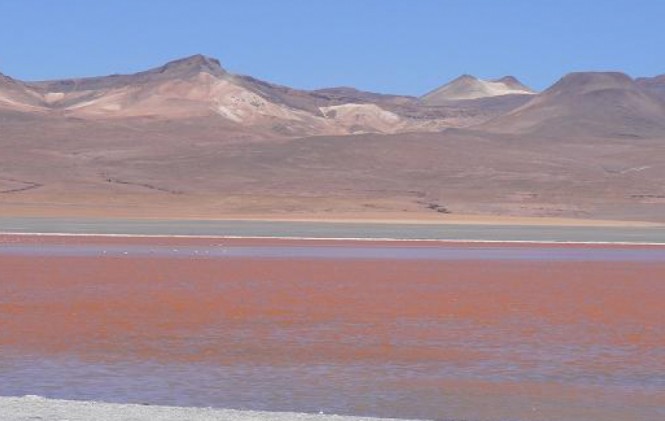 Laguna Colorada registra temperatura bajo cero. Foto: ANF
