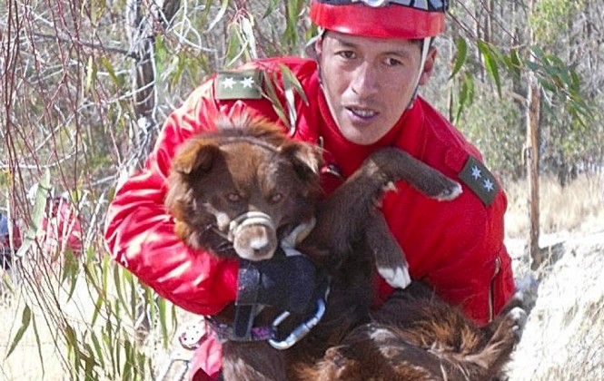 El teniente Jorge Ramírez transporta en brazos al perro rescatado por el Grupo Bersa en la zona de Vino Tinto. Foto: José Carranza