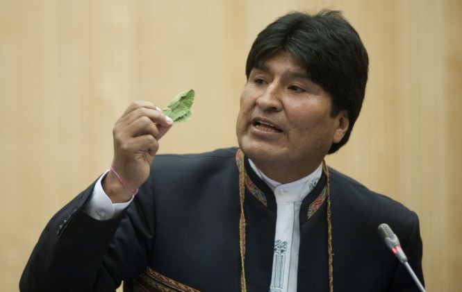 El presidente Evo Morales durante su intervención en la ONU/Foto archivo www.elclarin.cl