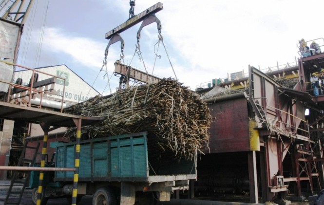 El récord de molienda ubiga al IAGSA como la primera productora de azúcar y alcohol. Foto: ANF.