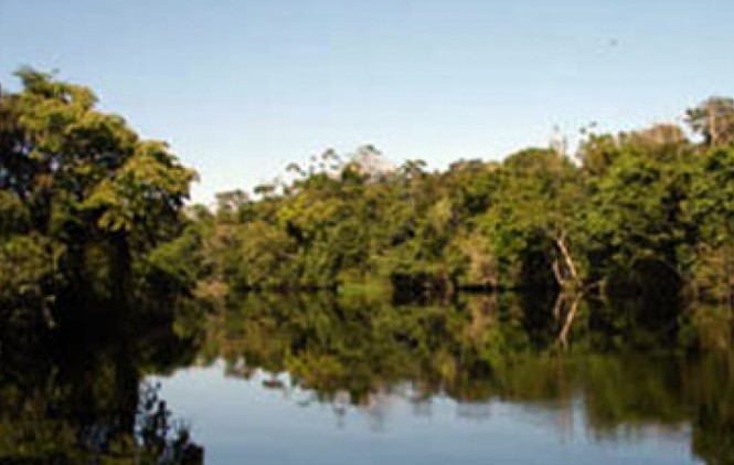 Un paisaje de una de las reservas. (Foto: rutaverde.bolivia.com)