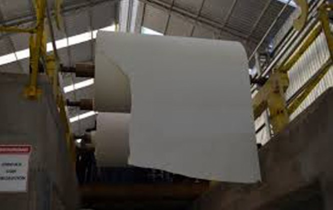 Papelbol pretende producir 15.120 toneladas de papel por año. Foto: comunicacion.gob.bo