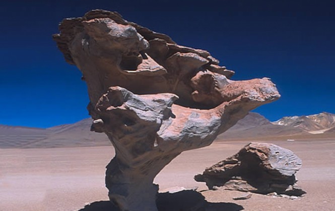 El árbol de piedra del Salar de Uyuni. Foto: MMAyA.