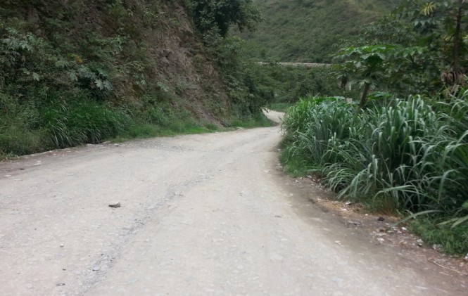 El camino a los Yungas/Foto ANF.