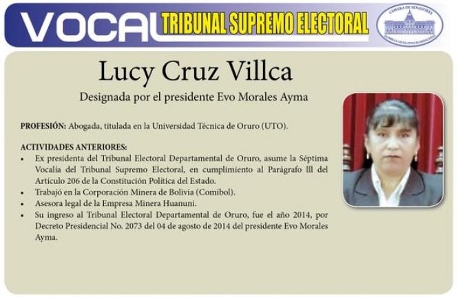 Lucy Cruz Villca, delegada presidencial en el TSE. Foto: Senado Bolivia