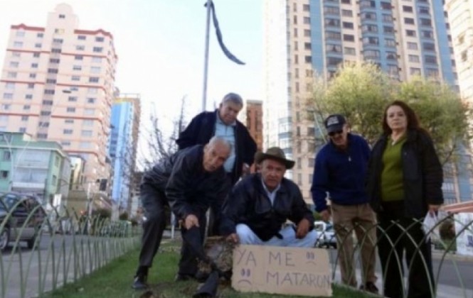 Un árbol talado. Foto: ANF