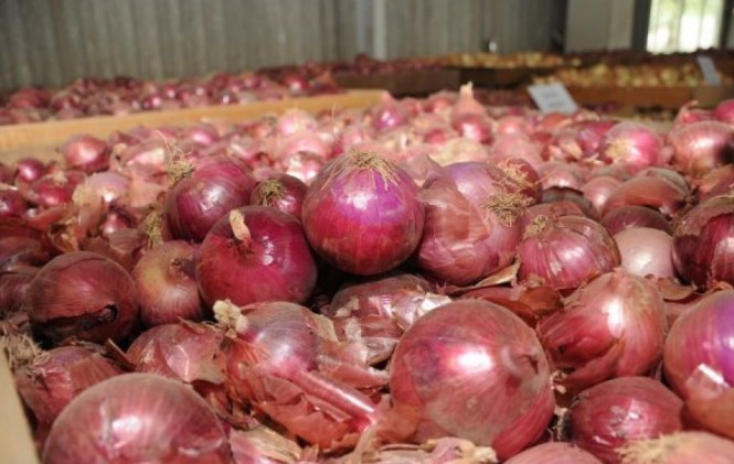 La cebolla se está trayendo de la zona cochabambina Mizque y de Tarija. Foto: 3.bp.blogspot.com