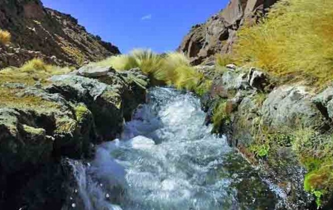 Senador denuncia que Gobernación de Potosí presupuestó sólo Bs 1.000 para embotellar agua del Silala