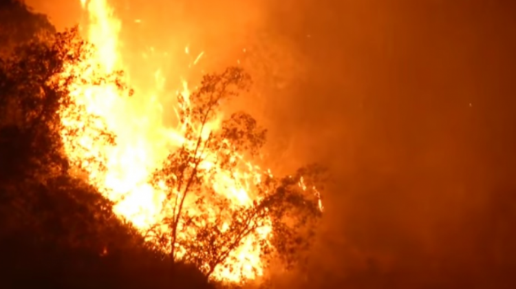 Incendios forestales en Chile. Foto: captura de pantalla TVN