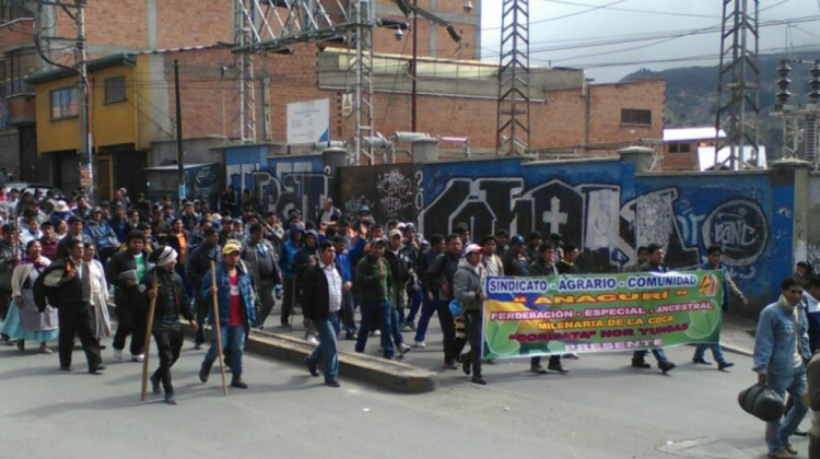 La marcha que los cocaleros protagonizaron ayer en La Paz. Foto: ANF.