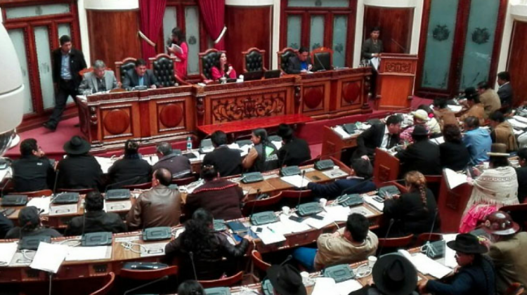 La Cámara de Diputados debate en grande el proyecto de ley de coca. Foto: ANF