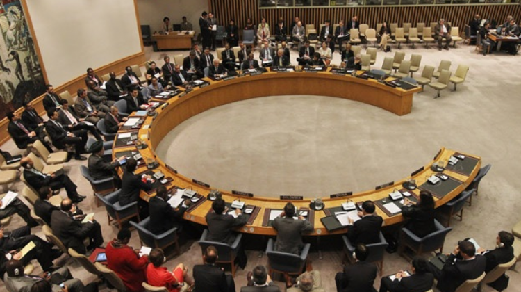 Consejo de Seguridad de Naciones Unidas.