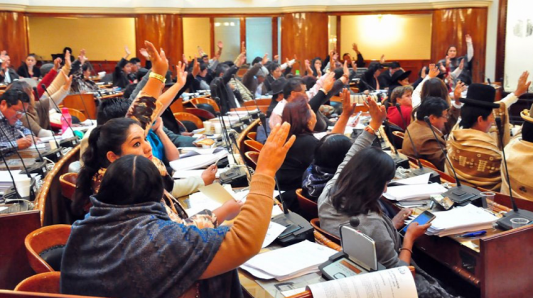 Una pasada sesión de legisladores. Foto de archivo: @Diputados_Bol