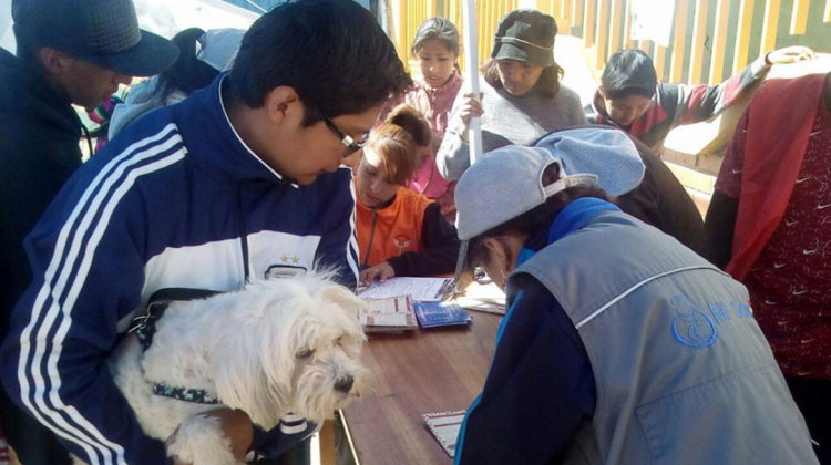 Una persona vacuna a su mascota.