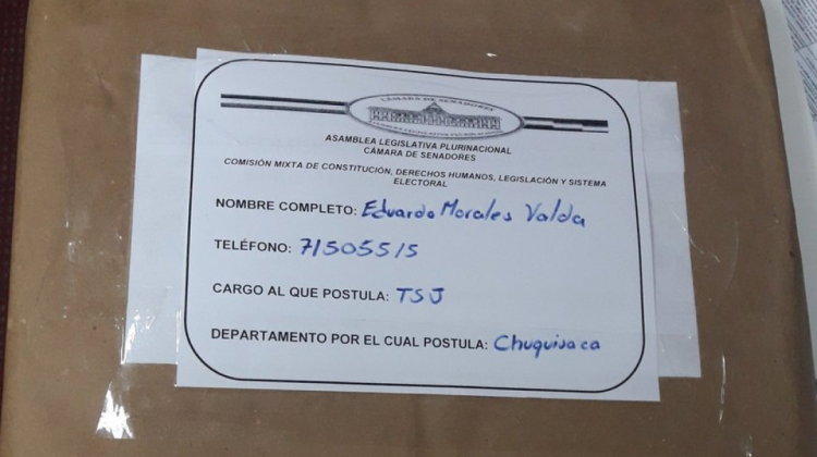 Los documentos de un postulante al Órgano Judicial.   Foto: @Diputados_Bol