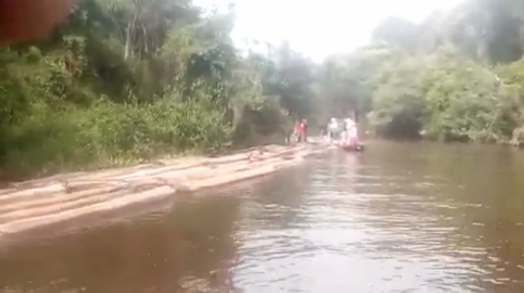 Senador denuncia explotación ilegal de madera en el municipio de Ixiamas. Foto: Captura video.