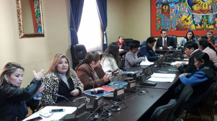 La Comisión de Constitución en la sesión. Foto: @SenadoBolivia