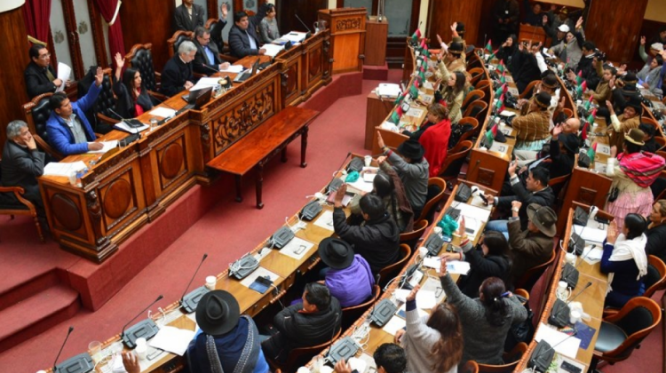 Asamblea Legislativa Plurinacional (ALP) . Foto: Diputados Bolivia‏
