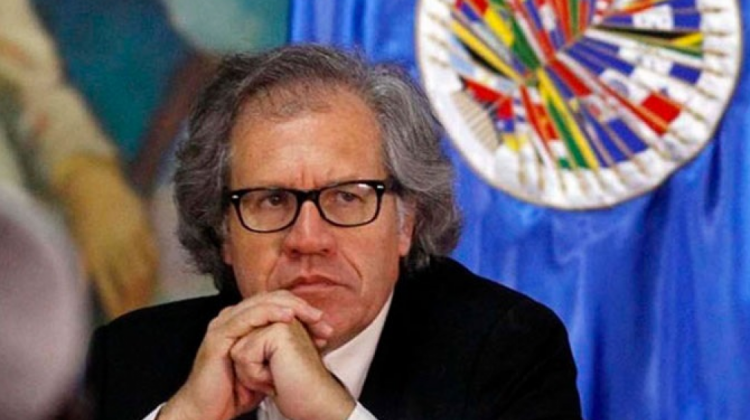 Secretario general de la OEA, Luis Almagro . Foto: Internet