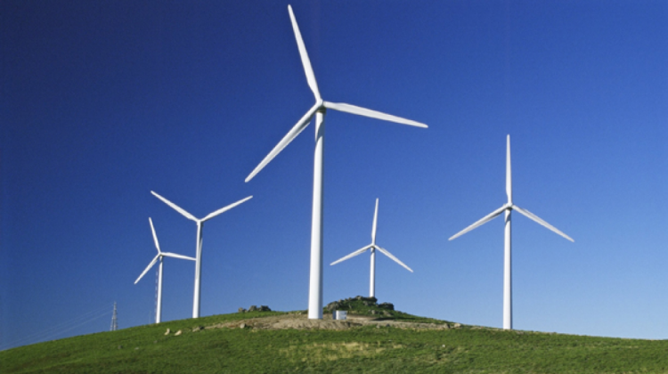 Energía eólica. Foto: renovables verdes