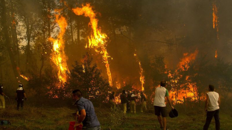 La gente intenta apagar los incendios en Galicia.       Foto: La Voz de Galicia