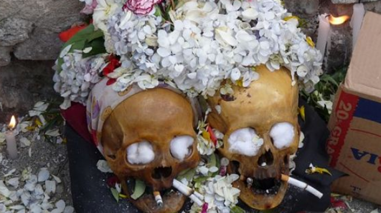 Un par de ñatitas. Foto: Pulsamerica.com
