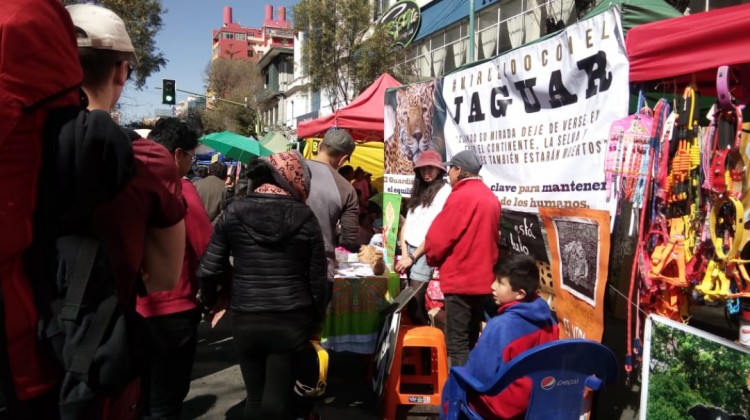 Colectivos ciudadanos recolectan firmas en el centro de La Paz.