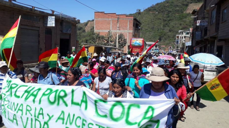 La marcha inició desde el municipio de La Asunta.  Foto: FM Bolivia.