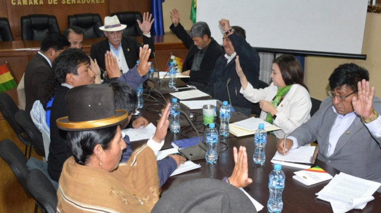 Comisión Mixta de Constitución de la ALP . Foto: Diputados