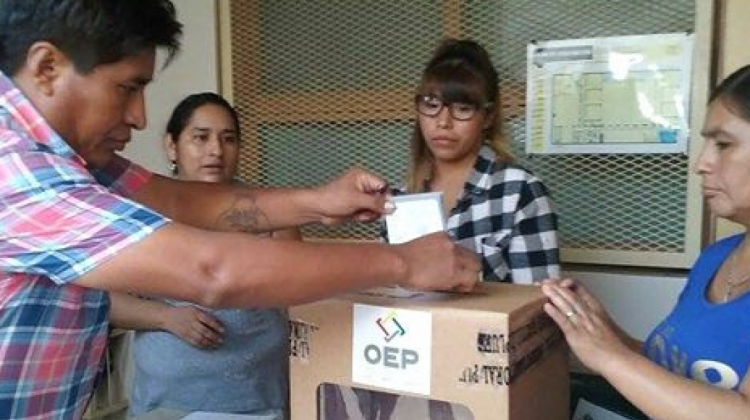 31 Sample Voto en el exterior bolivia Info