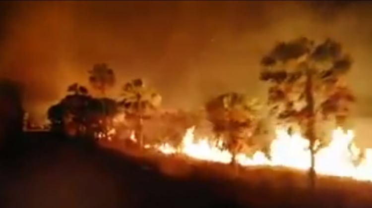 Incendios en la Chiquitanía. Foto: Captura de pantalla