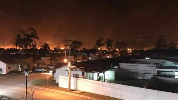 Incendio forestal afectó a 600 hectáreas del aeródromo del aeropuerto Viru Viru