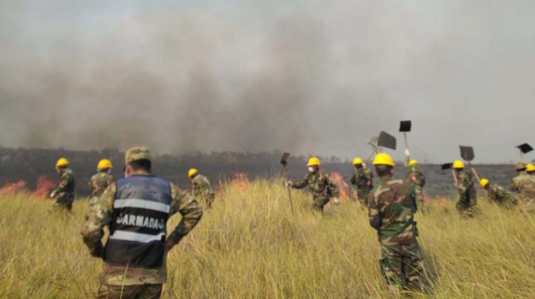 Los incendios afectaron al menos dos millones de hectáreas de bosques y pastizales. Foto de archivo: Abi.