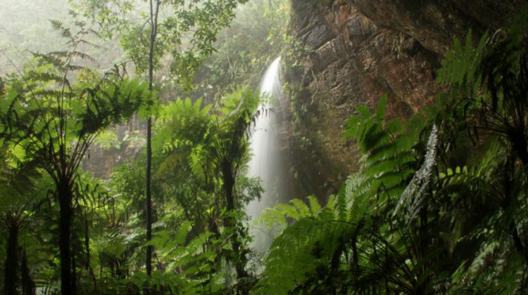 Estas caídas de agua natural están en Roboré, para deleite de sus habitantes y de quienes visitan este destino turístico. Foto: Hugo Santa Cruz