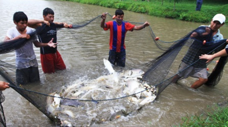 Un grupo de personas en una pesca. Foto: El Día