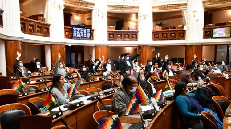 Sesión del Pleno de la Cámara de Diputados. Foto: Diputados Bolivia.