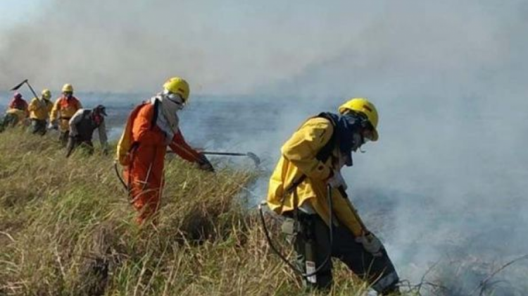 Guardabosques y bomberos trabajan en aplacar las llamas en un parque forestal de Santa Cruz. Foto archivo: Página siete