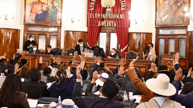 El pleno de la Cámara de Diputados. Foto: Diputados Bolivia.