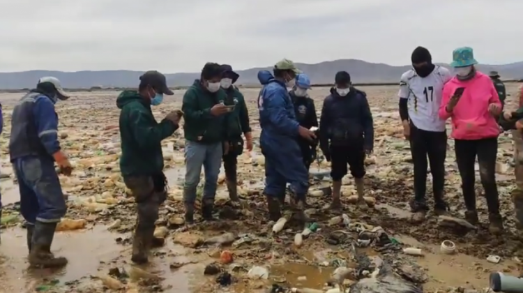Foto: Captura de video de Víctor Flores.