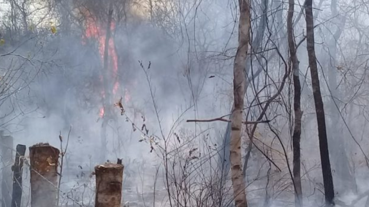Incendios de 2019 en Bolivia. Foto. Archivo