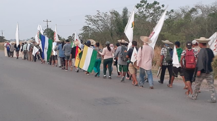 Los marchistas en carretera. Foto: Comunicación de la marcha