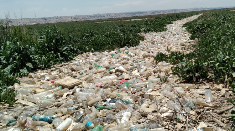 Basura y botellas pet en el rio Katari, muy cerca del lago Titicaca. Foto: ANF.
